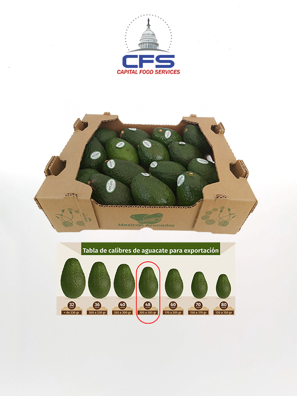 [50820251] AGUACATE MEXICANO FRESCO VERDE 48' CALIBRE 1BOX/25LB