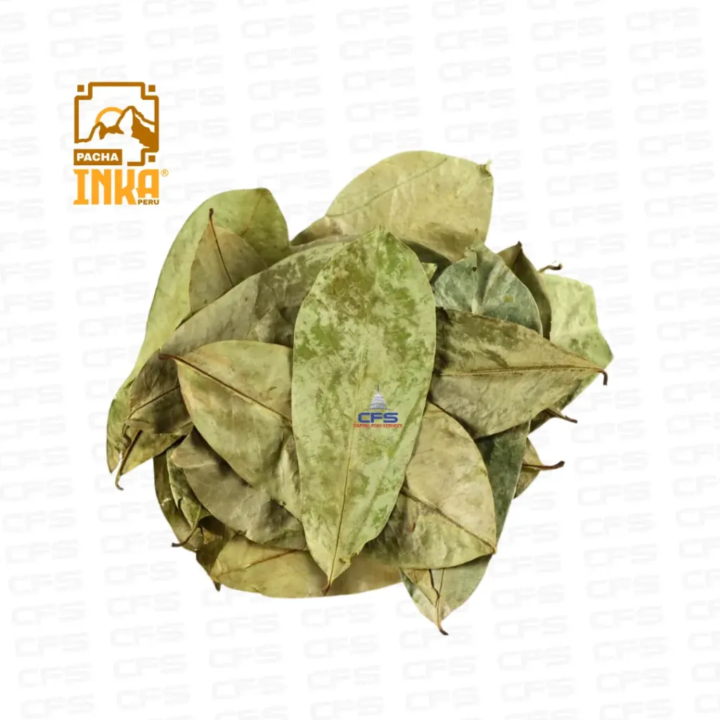 PI GUANABANA DESHIDRATADA 1/10KG (PERU)