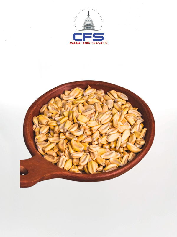 PACHA INKA MAIZ CANCHA MONTAÑA 1/25KG (PERU)